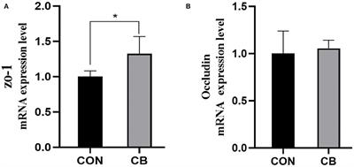 Effects of Clostridium butyricum on growth performance, meat quality, and intestinal health of broilers